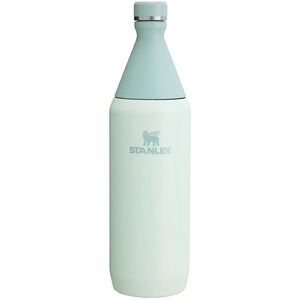 Stanley Pale Mint Green Vacuum Bottle